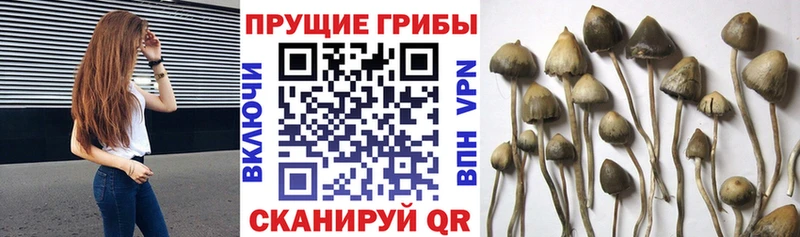 Галлюциногенные грибы Magic Shrooms  Ишимбай 